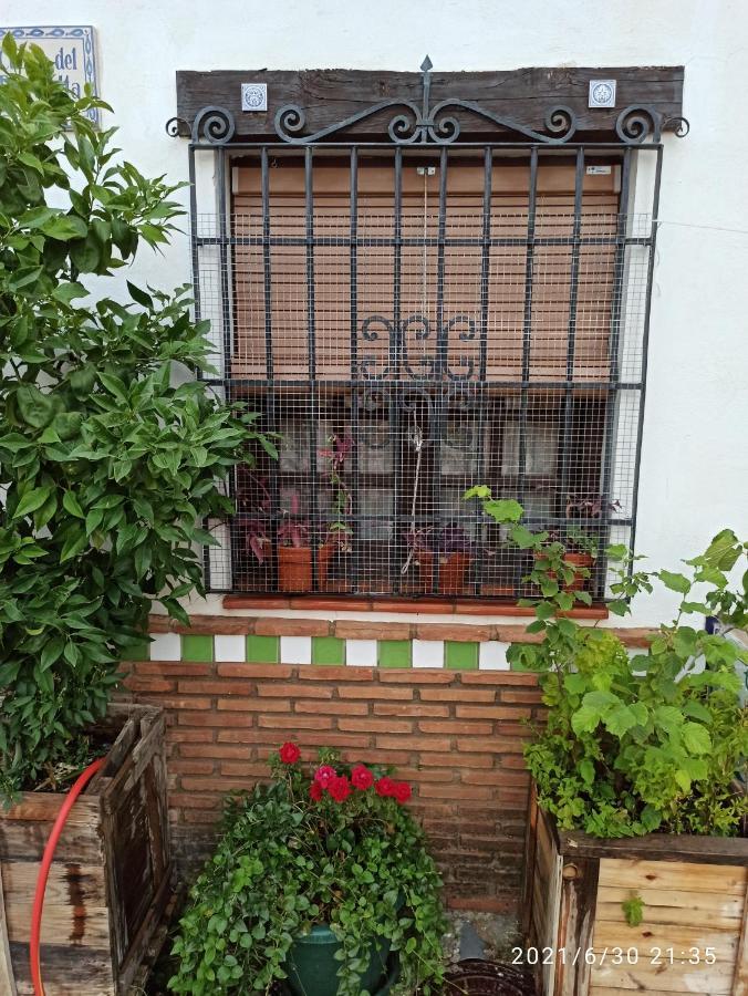格拉纳达La Casita De Paco Albaicin公寓 外观 照片