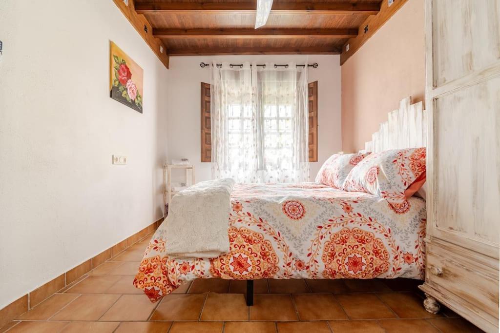 格拉纳达La Casita De Paco Albaicin公寓 外观 照片